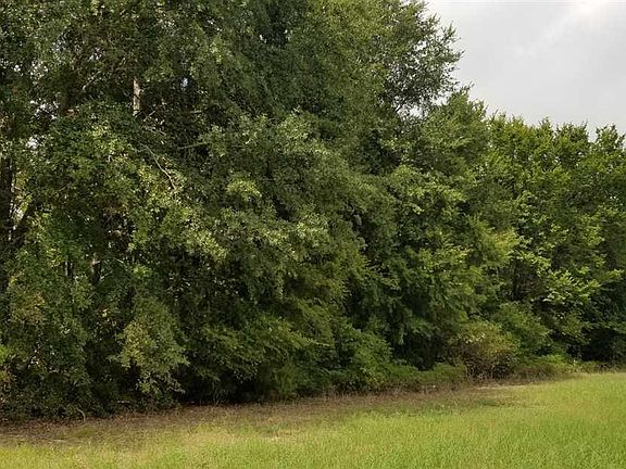 4th image of TRACT 1 County Road 2382