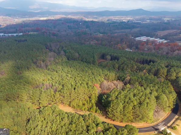 0 Foxpaw Leaf Ln #20, Ellijay, GA 30536