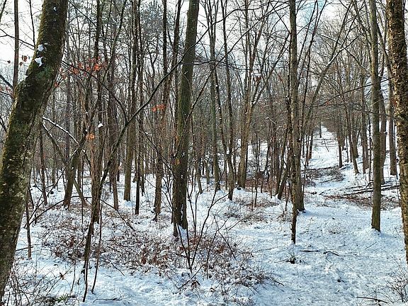 5th image of 4 Mountain Rd