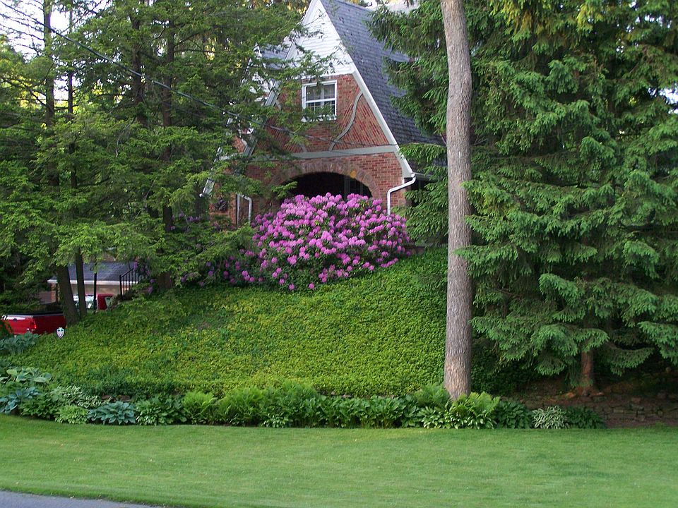 1st image of 195 Mapledale Ave