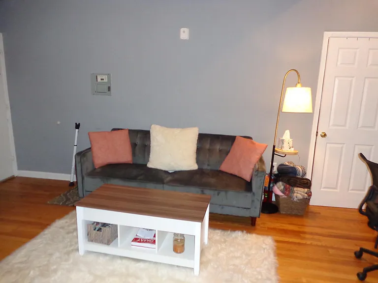 219 Green Ln #8 — Photo 3