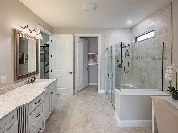 Conceptual Owner s Bathroom