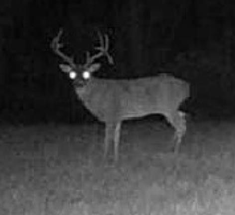 66th image of this home