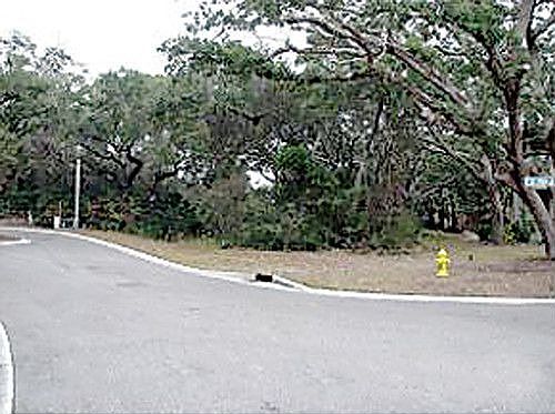 1st image of 350 Ocean Forest Dr