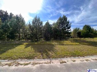 431 Pembroke Blvd, Johnsonville, SC 29555