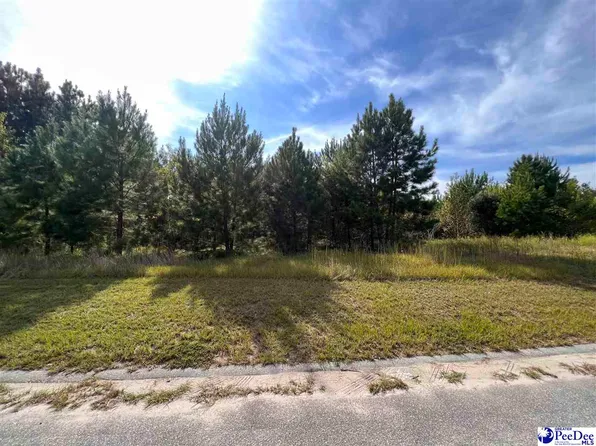 431 Pembroke Blvd, Johnsonville, SC 29555