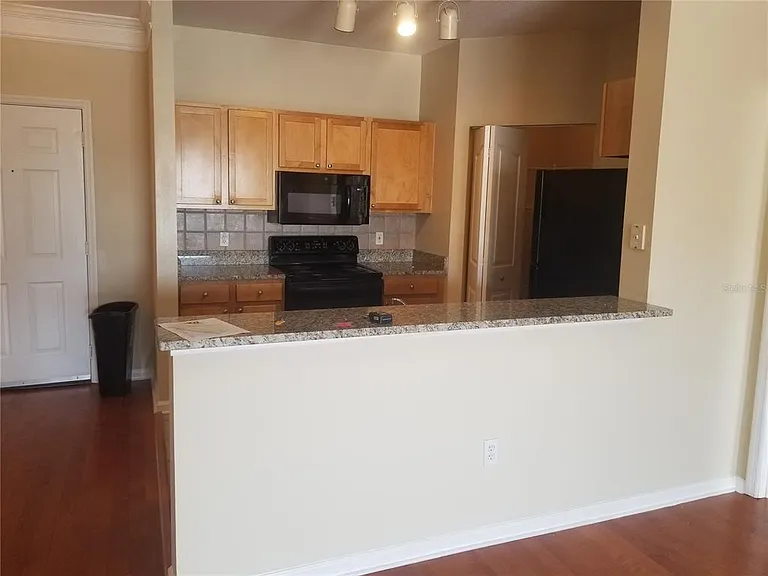 4207 S Dale Mabry Hwy #2401 — Photo 4