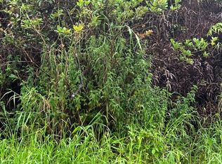 Heno St LOT 194, Volcano, HI 96785
