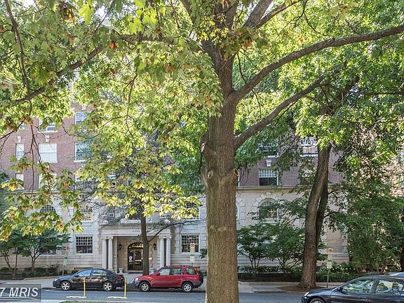 Quiet tree lined street