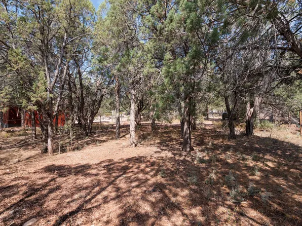 0 S Palomino Dr, Payson, AZ 85541