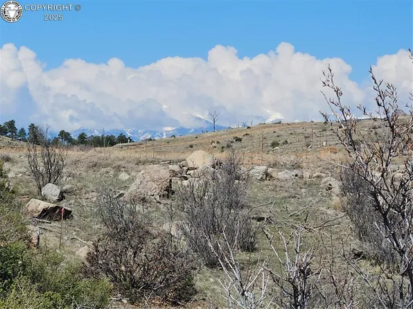 839 Shannon Trl, Cotopaxi, CO 81223