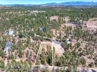 215 Brentwood Dr #2, Alto, NM 88312