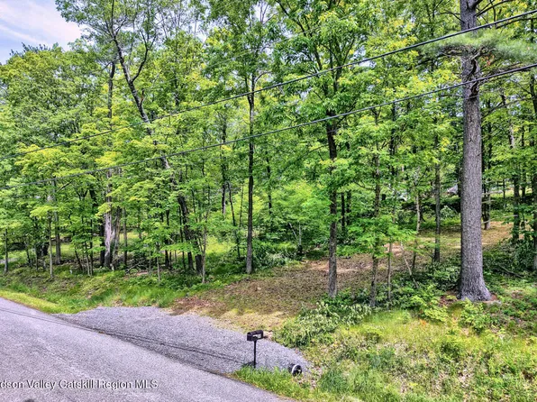 268 Potic Mountain Road, Catskill, NY 12414