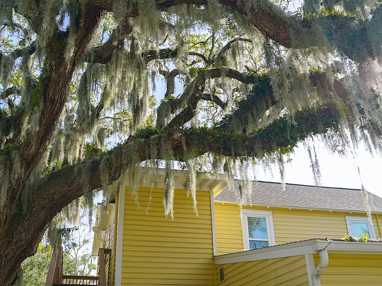 14 Sanchez Ave — Photo 48