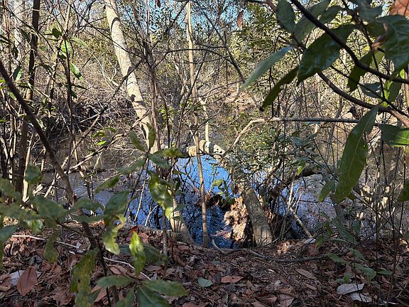 5th image of Bff Ii 7 Brunson Teal Rd