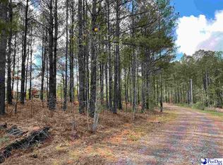 1.43 Hunters Run Ln, Wallace, SC 29596