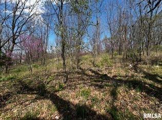 LOT 201 James St, Pt Byron, IL 61275