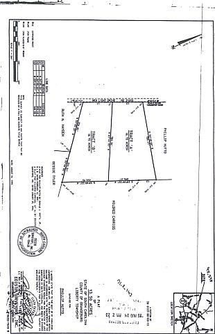 2nd image of 203 New Light Dr