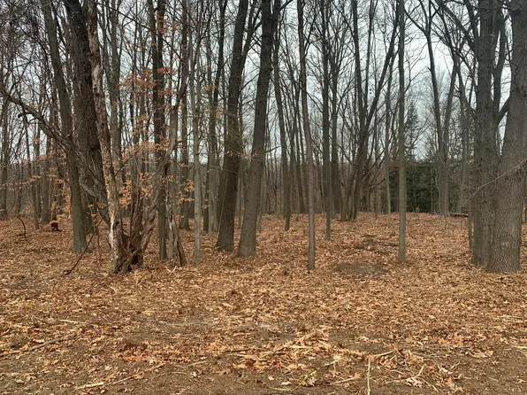 3308 Palmer Dr, Saugatuck, MI 49453