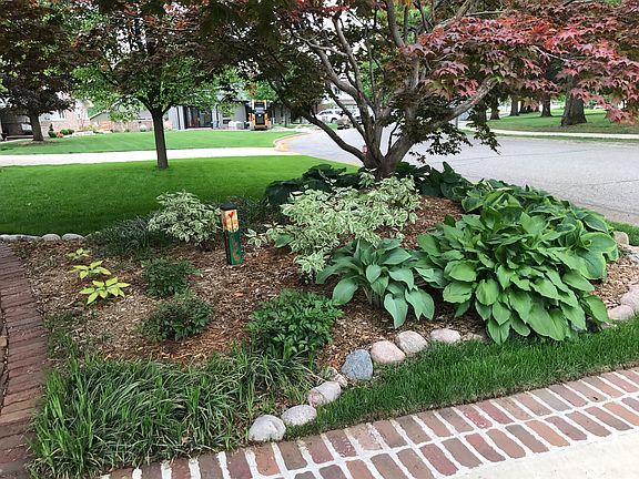 Front yard landscaping