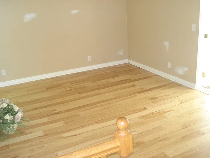 8783 Lozen Dr — Photo 3