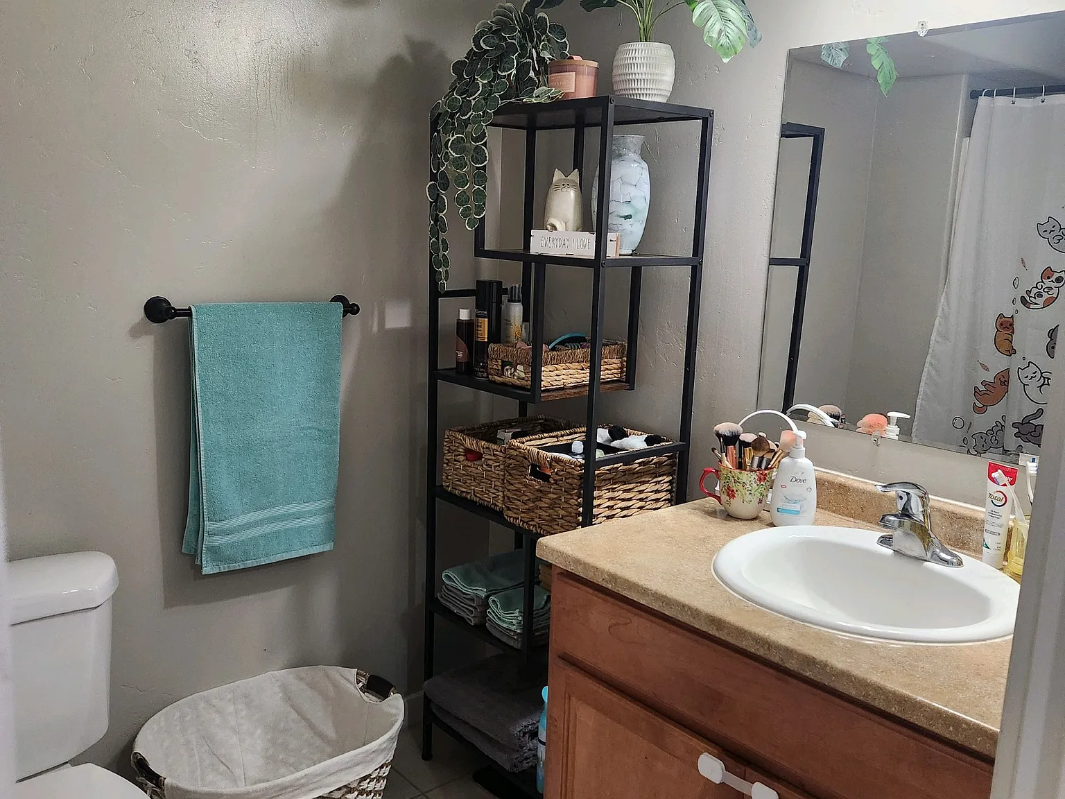 2 bed, 900 sqft, $1,250 — Photo 2