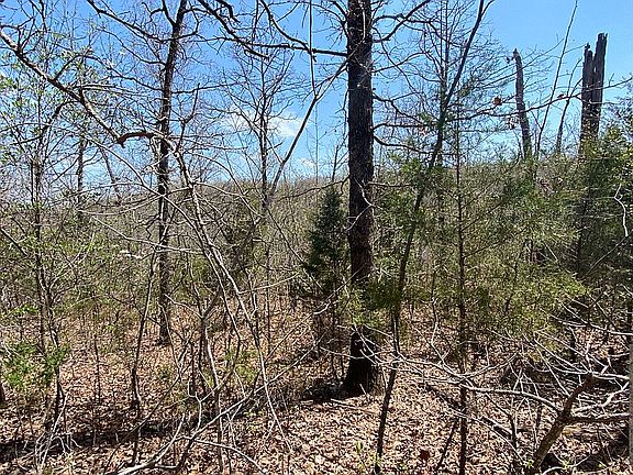 5th image of 1516 County Road 803a