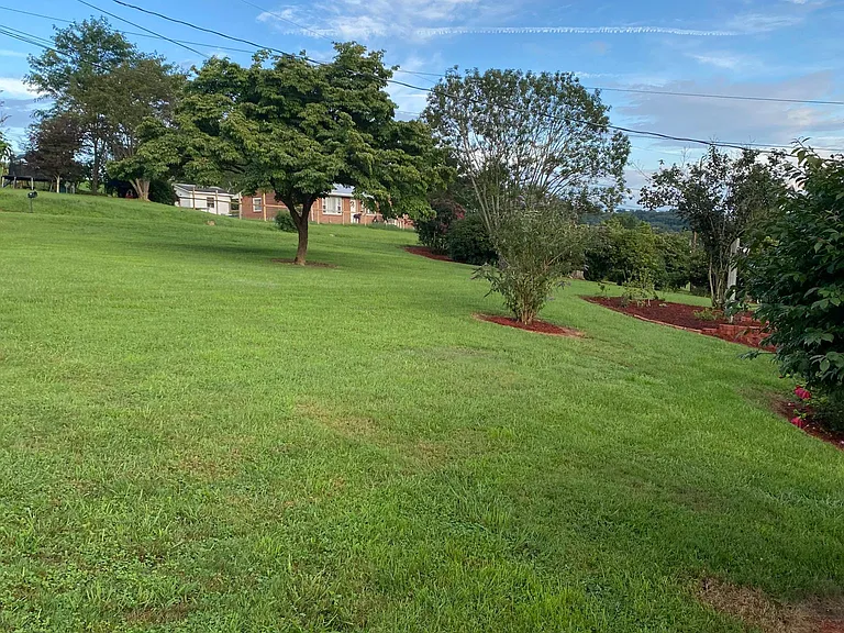 Back yard