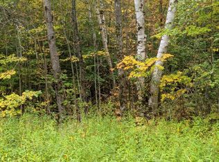 Diller Rd, Germfask, MI 49836