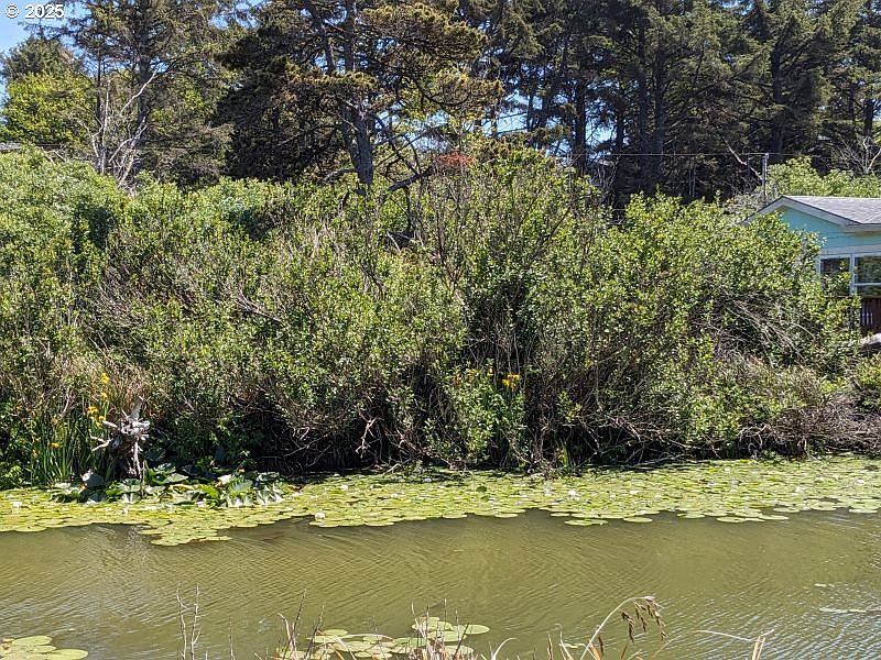 2nd image of SE 2nd Ct
