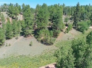 719 Spring Valley Ln, Florissant, CO 80816