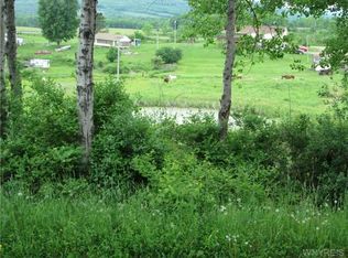 5213 Riley Rd, Angelica, NY 14709
