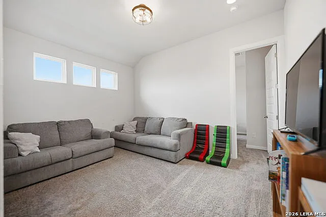 5334 Black Walnut — Photo 17