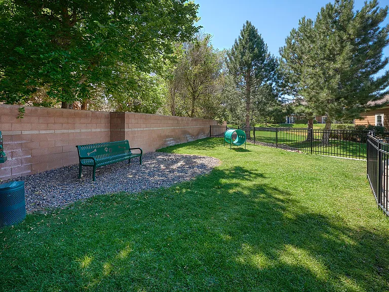 Crestone — Photo 32