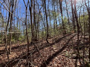 267 Cajun Ln, Ellijay, GA 30540