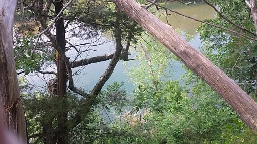 2nd image of 35 Whitaker Bend Dr