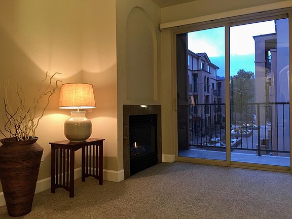 Fireplace and main veranda access