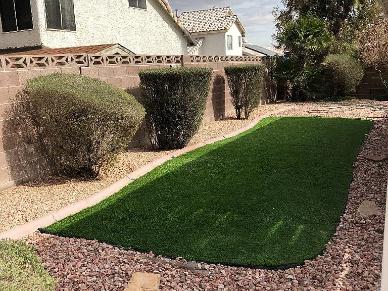 Backyard view - artificial turf and desert landscaping