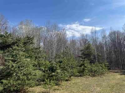 N Loomis Rd, Clare, MI, 48617