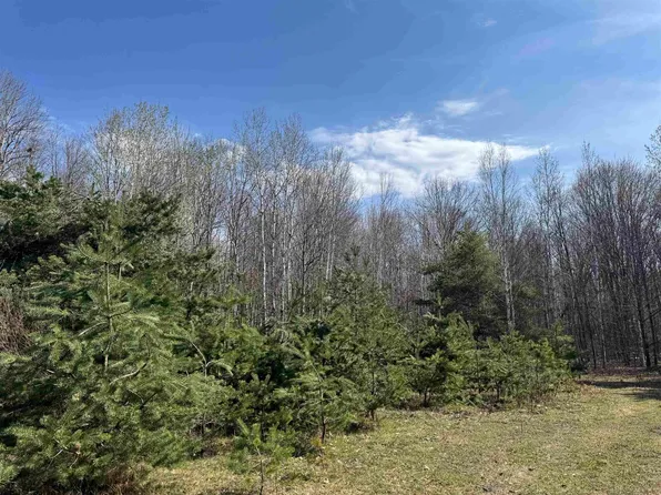 N Loomis Rd, Clare, MI 48617