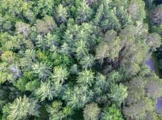 LOT 4 Dads Lake Rd, Eagle River, WI 54521