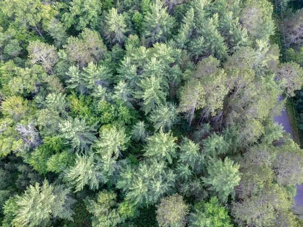 LOT 4 Dads Lake Rd, Eagle River, WI 54521