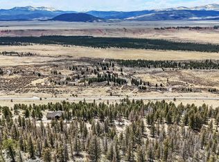2120 Bonell Drive LOT 445, Fairplay, CO 80440