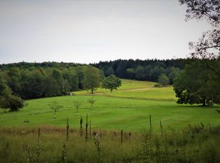 6885 Culver Creek Rd, Bath, NY 14810