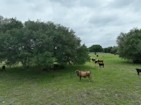 LOT 1 County Road 127, Ledbetter, TX 78946