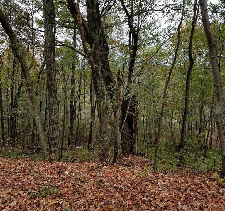 110 Nemeth Dr, Otego, NY 13825 Zillow