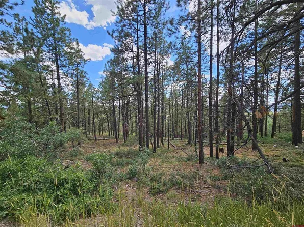 324 Hilltop Drive, Bayfield, CO 81122