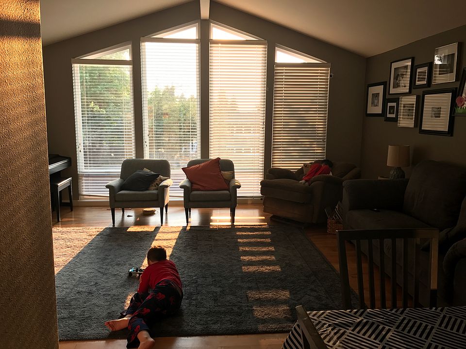 Glorious western windows