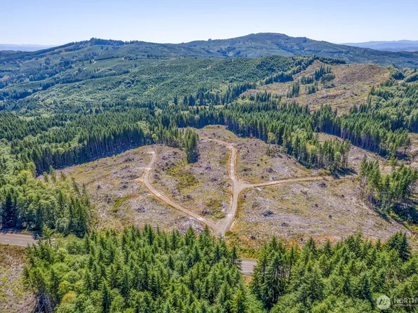 0 Ocean Beach Highway, Skamokawa, WA 98647