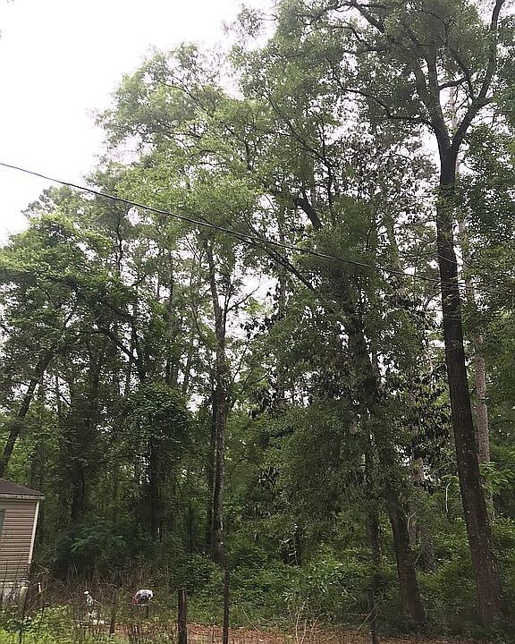 2nd image of Arikara Dr